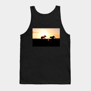 Italian Spinone Sunset Playtime Tank Top